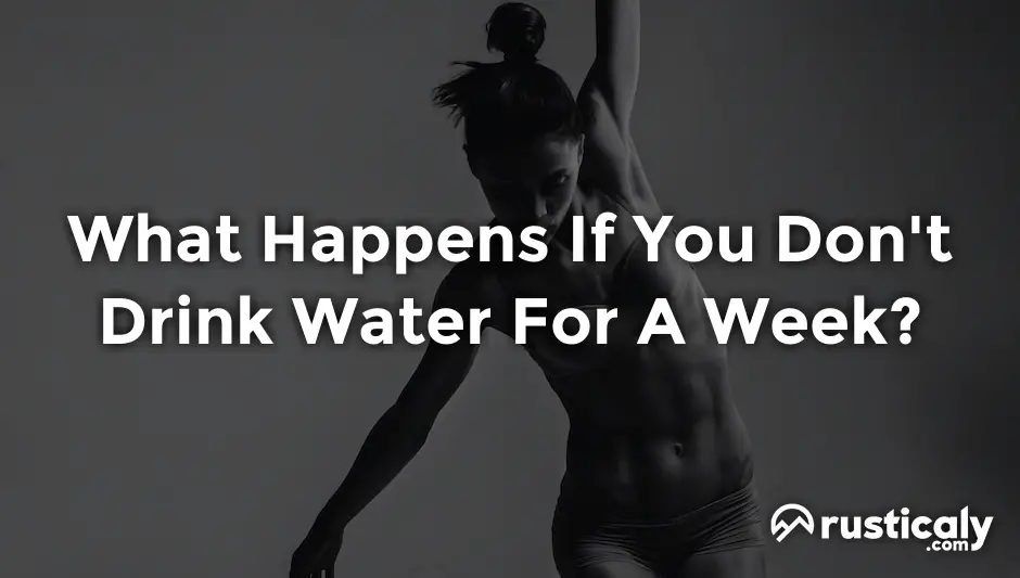 What Happens If You Don't Drink Water For A Week?
