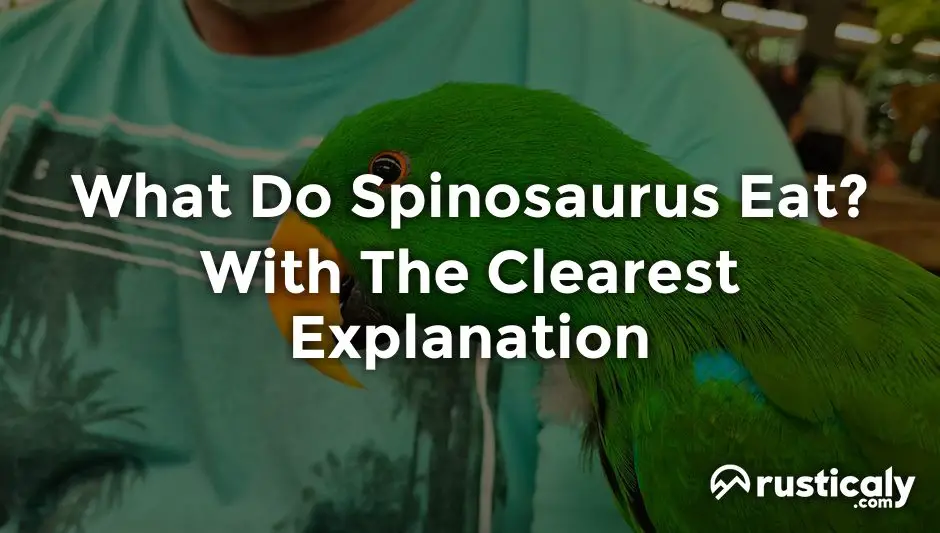 what do spinosaurus eat