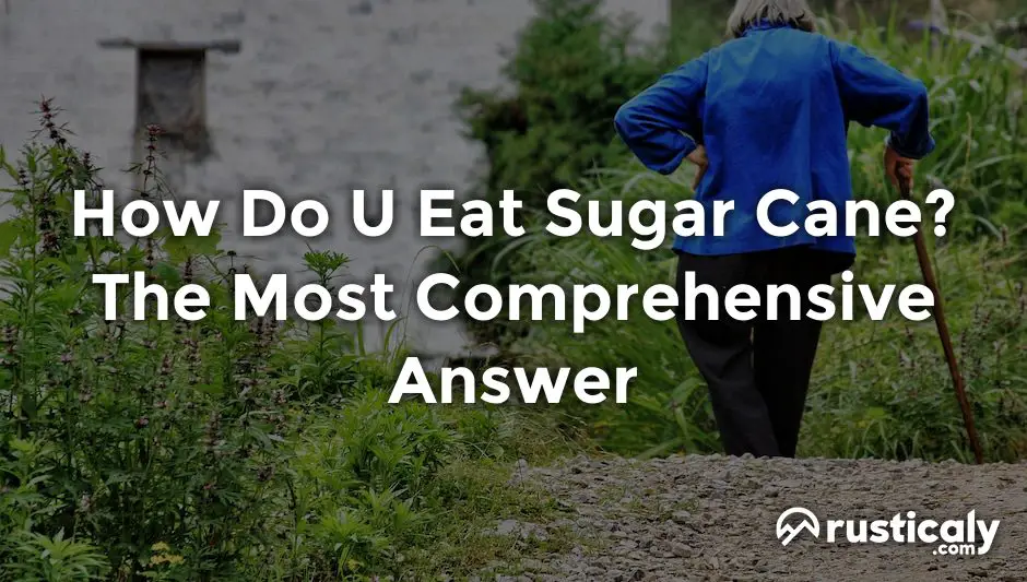 how do u eat sugar cane