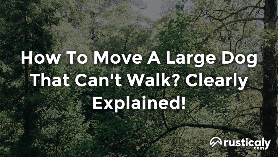 how to move a large dog that can't walk