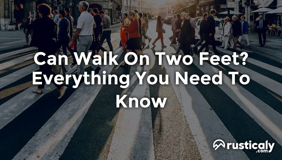 can walk on two feet