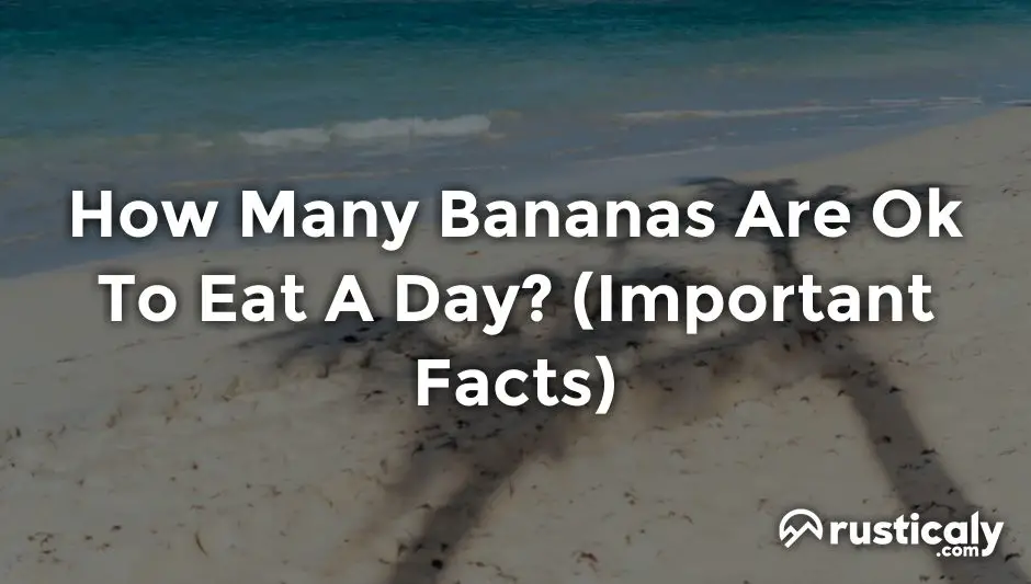 how many bananas are ok to eat a day