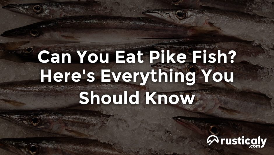 can you eat pike fish