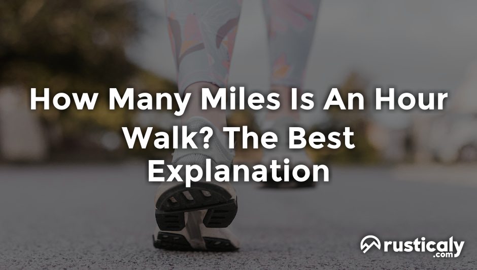 how many miles is an hour walk
