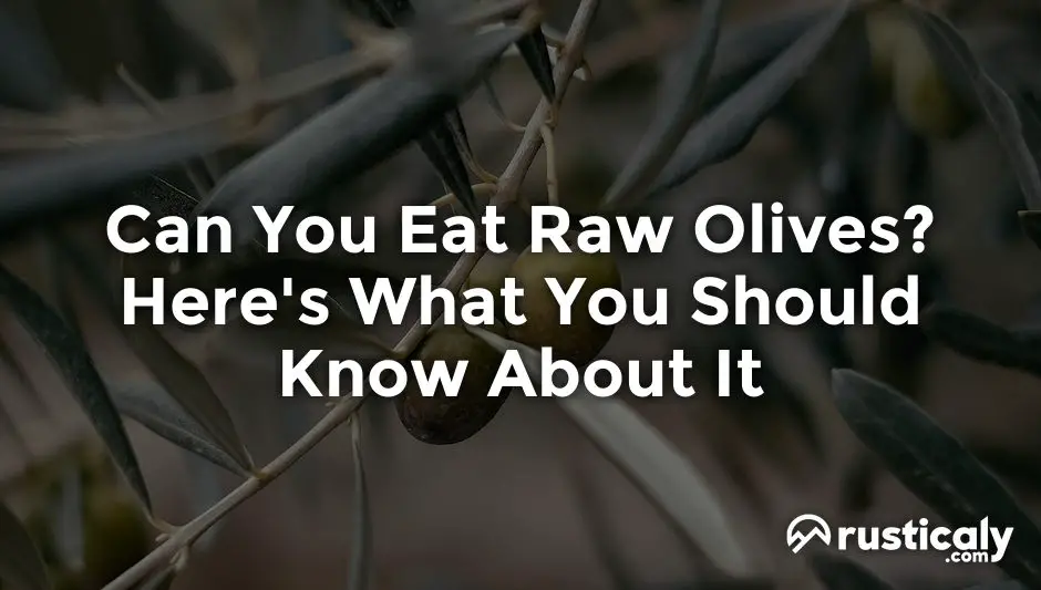can you eat raw olives