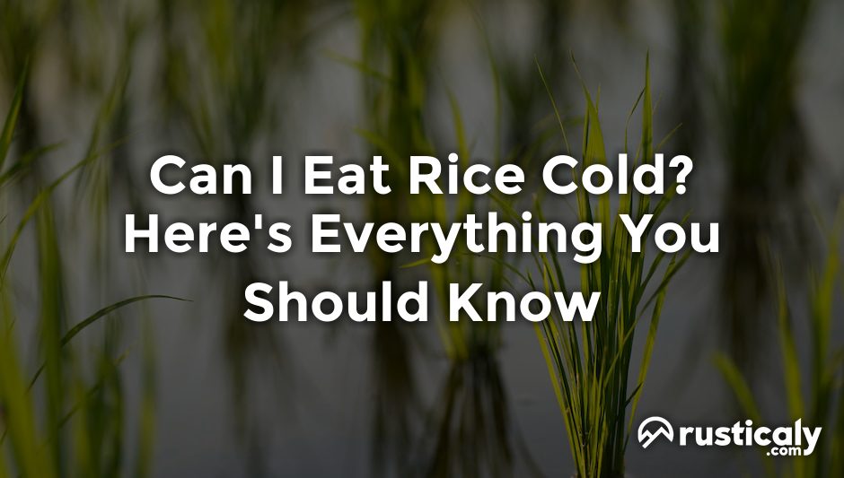 can i eat rice cold