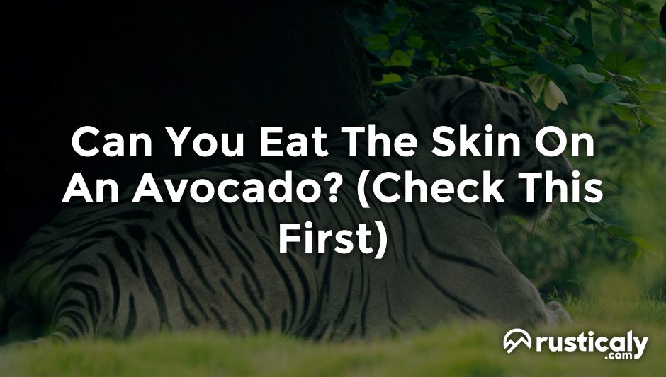 can you eat the skin on an avocado
