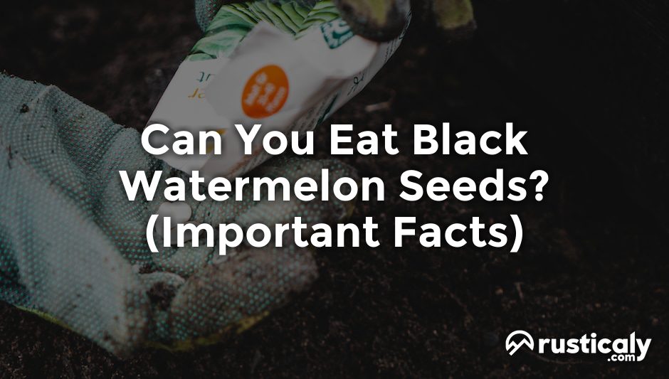can you eat black watermelon seeds