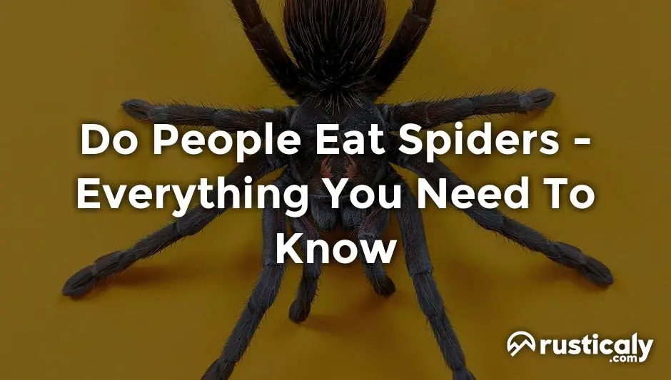 do people eat spiders