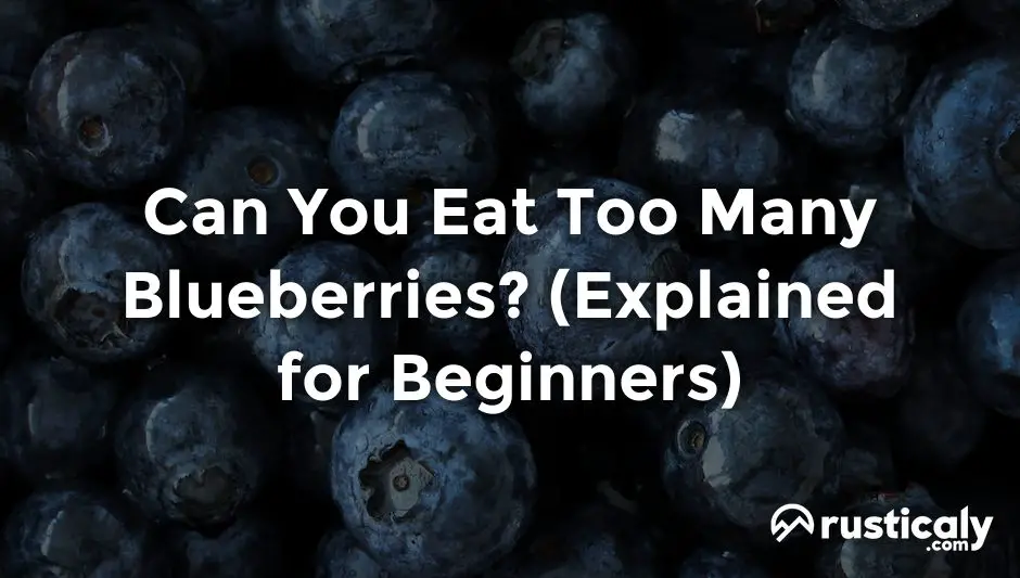 can you eat too many blueberries