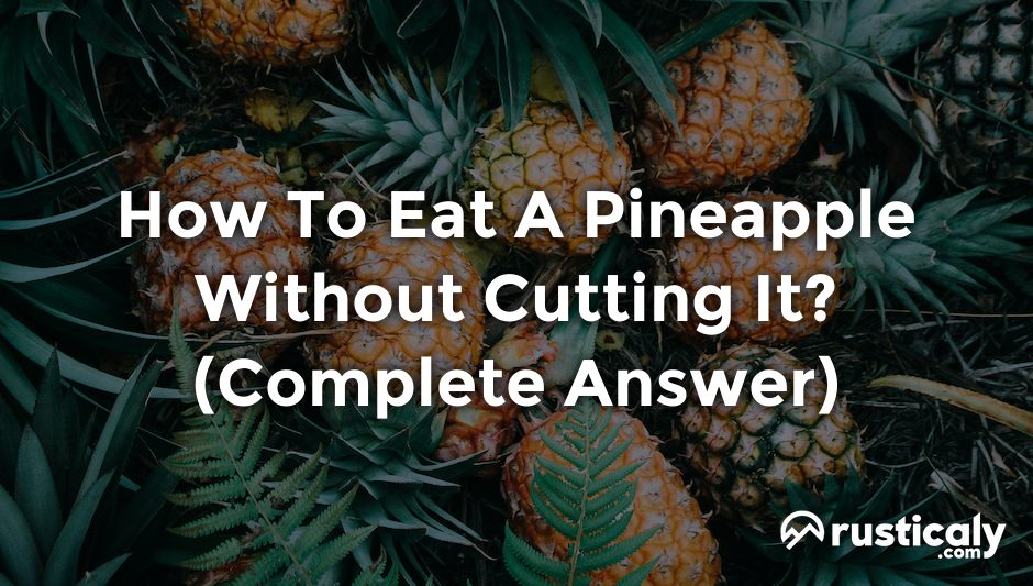 how to eat a pineapple without cutting it