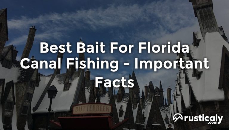 best bait for florida canal fishing