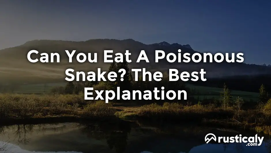 can you eat a poisonous snake