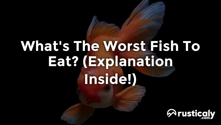 what's the worst fish to eat