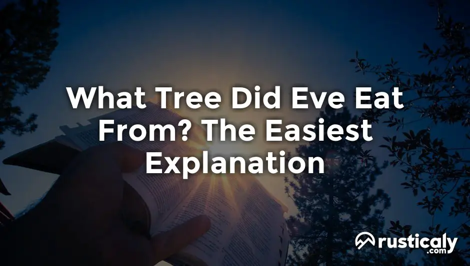 what tree did eve eat from