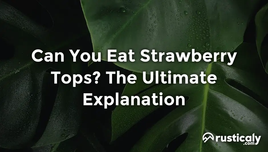can you eat strawberry tops