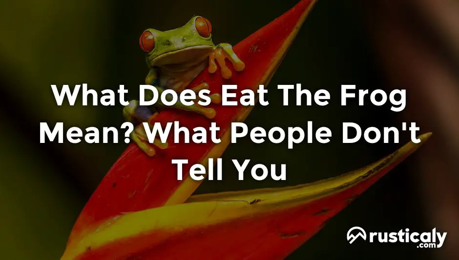 what does eat the frog mean