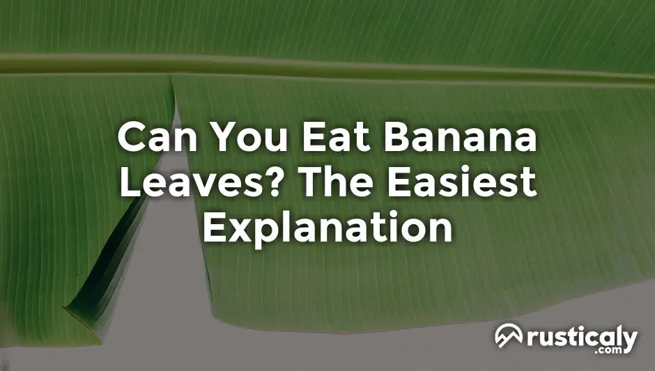 can you eat banana leaves