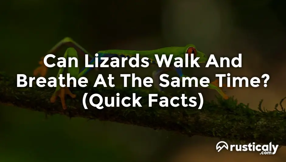 can lizards walk and breathe at the same time