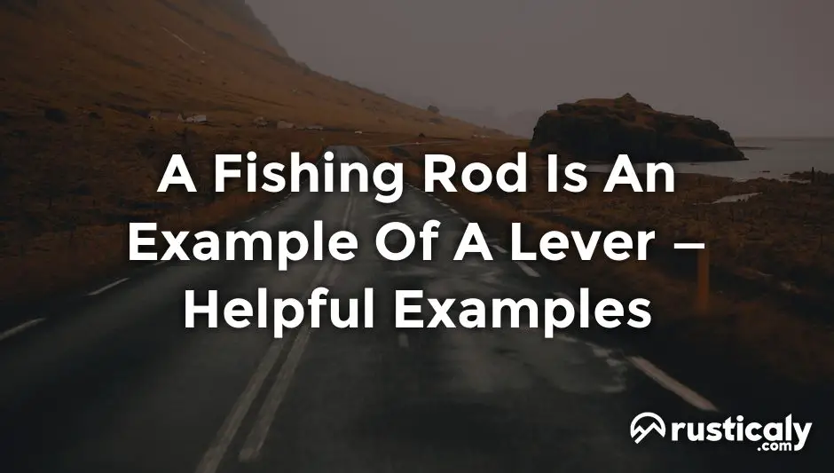 a fishing rod is an example of a lever
