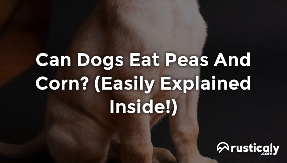 can dogs eat peas and corn