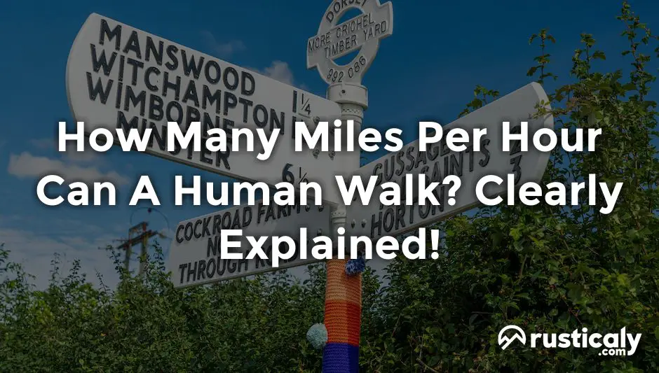 how many miles per hour can a human walk