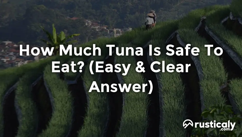 how much tuna is safe to eat