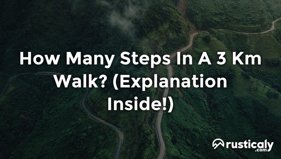 how many steps in a 3 km walk