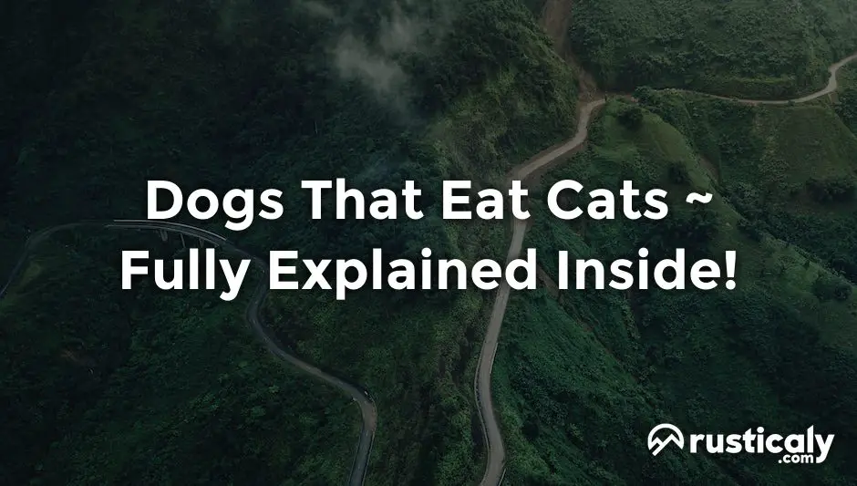 dogs that eat cats