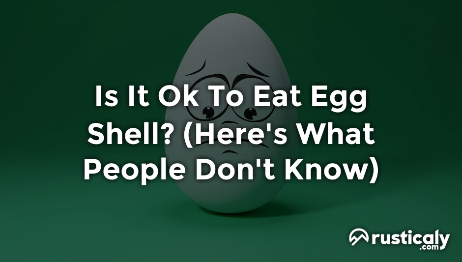 is it ok to eat egg shell