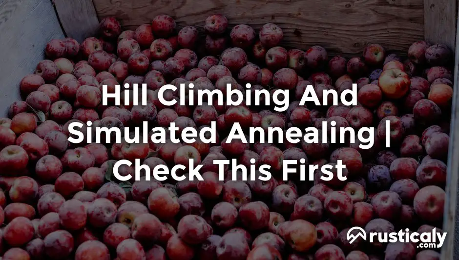 hill climbing and simulated annealing