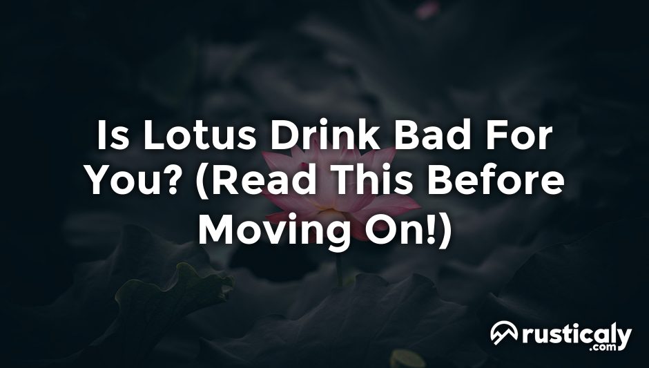 Is Lotus Drink Bad For You? What People Don't Tell You