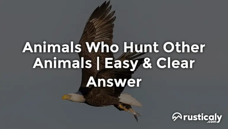animals who hunt other animals