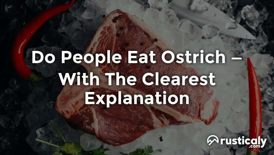 do people eat ostrich
