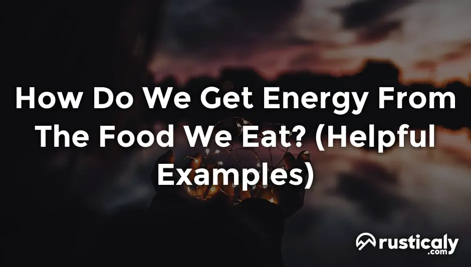 how do we get energy from the food we eat