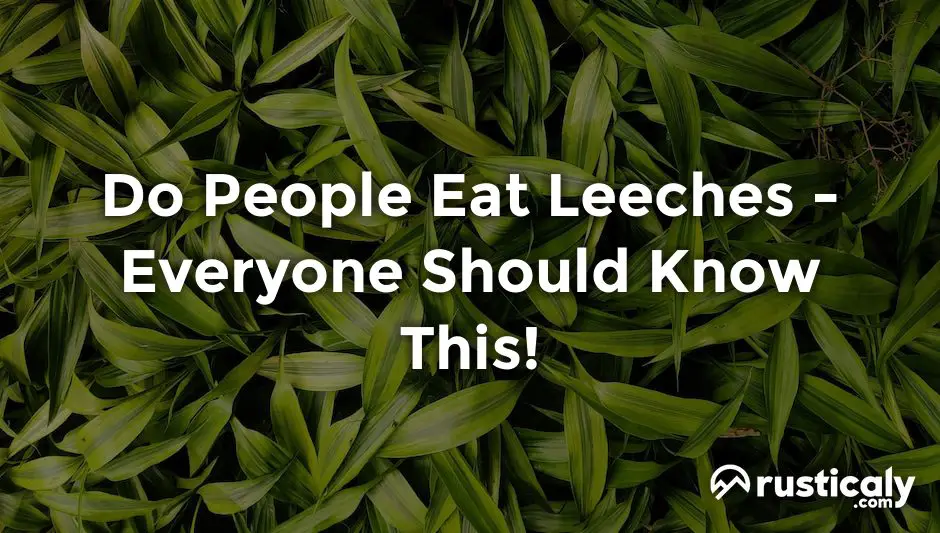 do people eat leeches