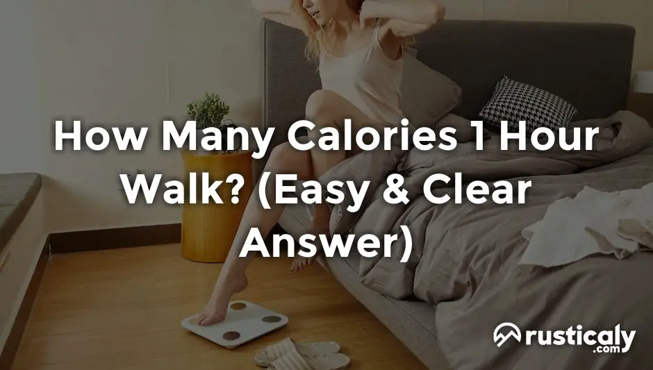 how many calories 1 hour walk