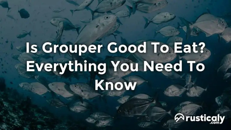 Is Grouper Good To Eat? The Most Comprehensive Answer