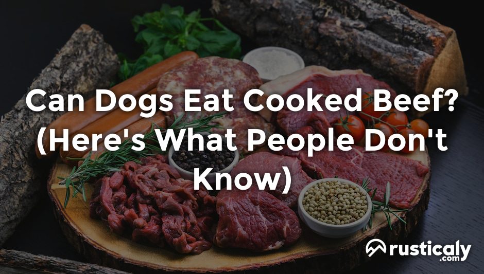 can dogs eat cooked beef