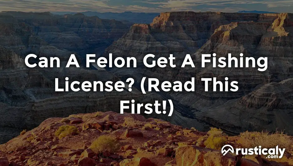 can a felon get a fishing license