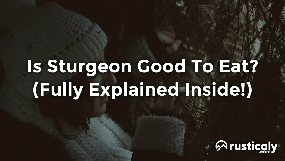Is Sturgeon Good To Eat? Here's What You Should Know About It