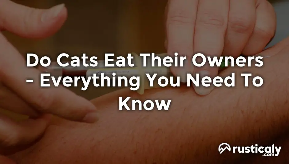 do cats eat their owners