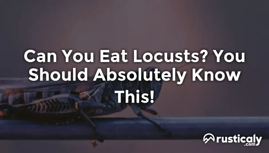 can you eat locusts