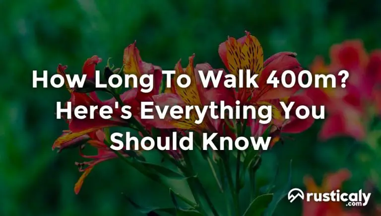 how-long-to-walk-400m-here-s-everything-you-should-know