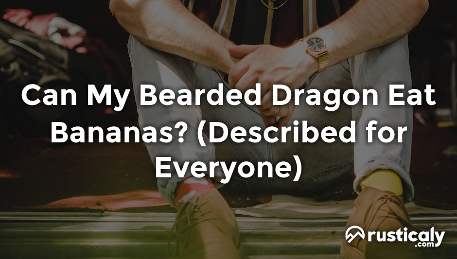 can my bearded dragon eat bananas