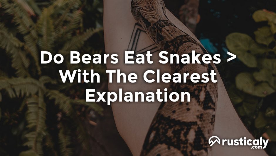 do bears eat snakes