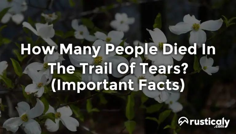 how many people died in the trail of tears