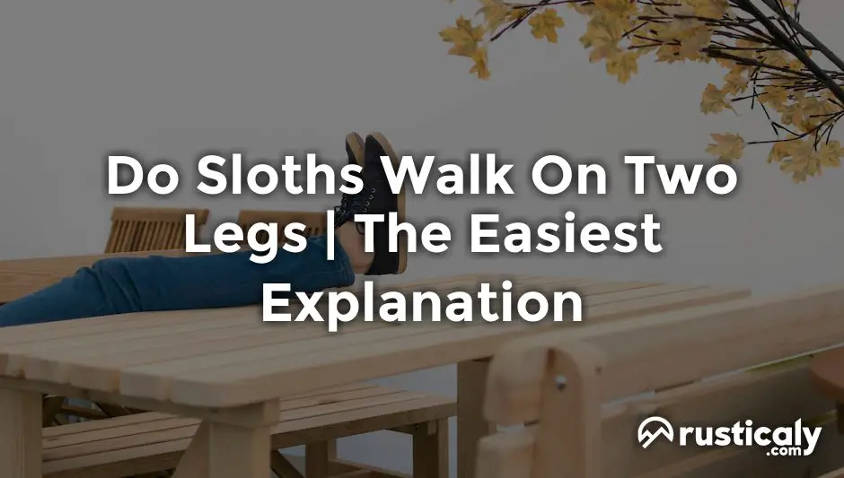 do sloths walk on two legs