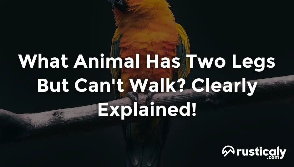 what animal has two legs but can't walk