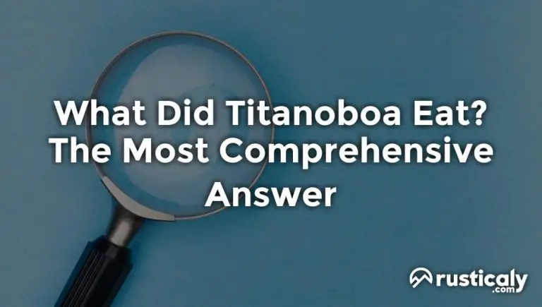 what did titanoboa eat